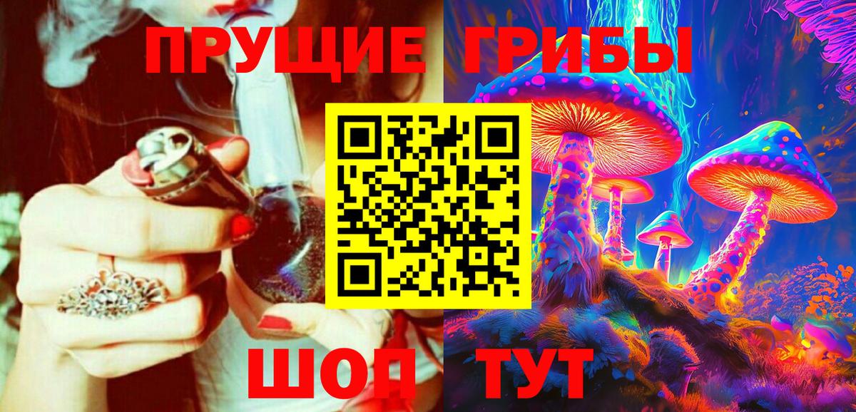 Севастополь  наркота  Вход с VPN  Псилоцибиновые грибы прущие грибы 